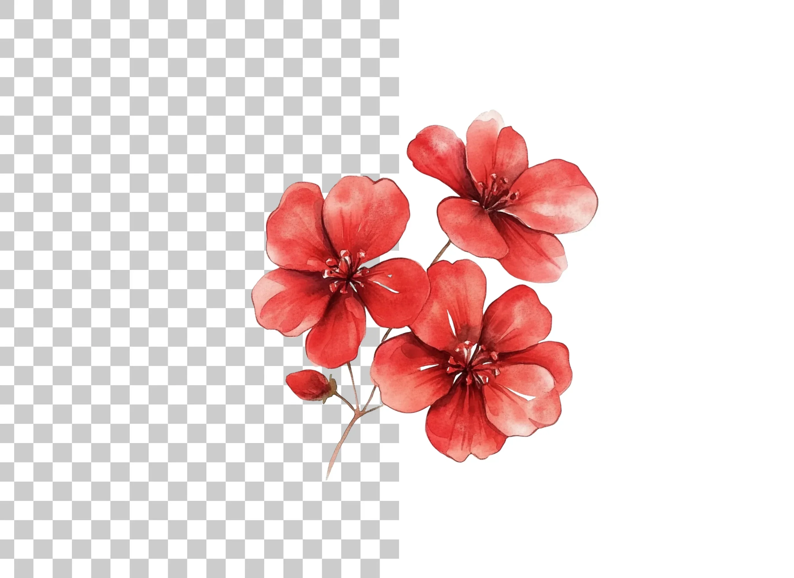 Vibrant Red Blossom Clipart Bundle - Image 2