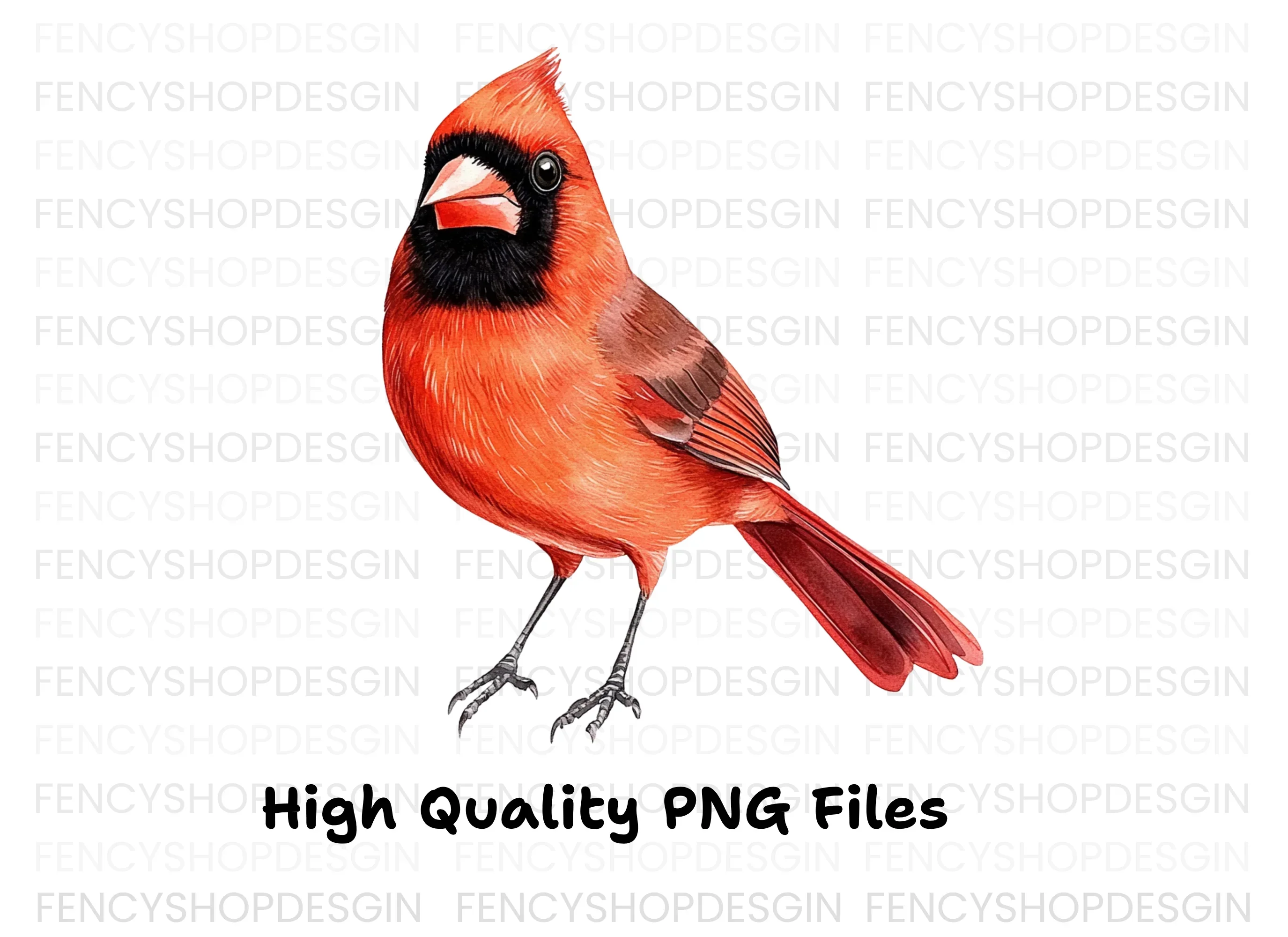 Vibrant Red Cardinal Bird Clipart Bundle - Image 3