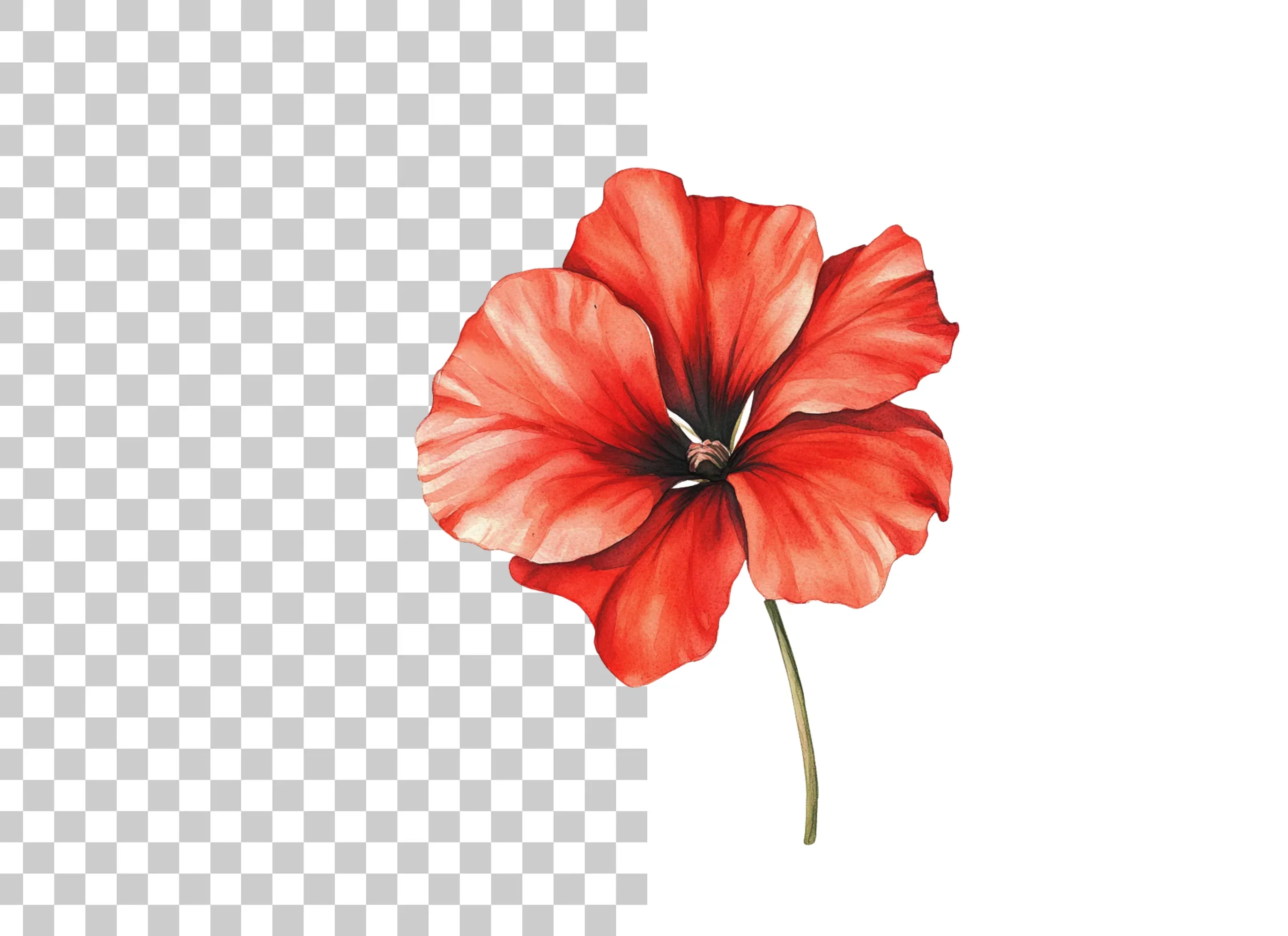 Vibrant Red Geranium Flower Clipart Bundle - Image 2