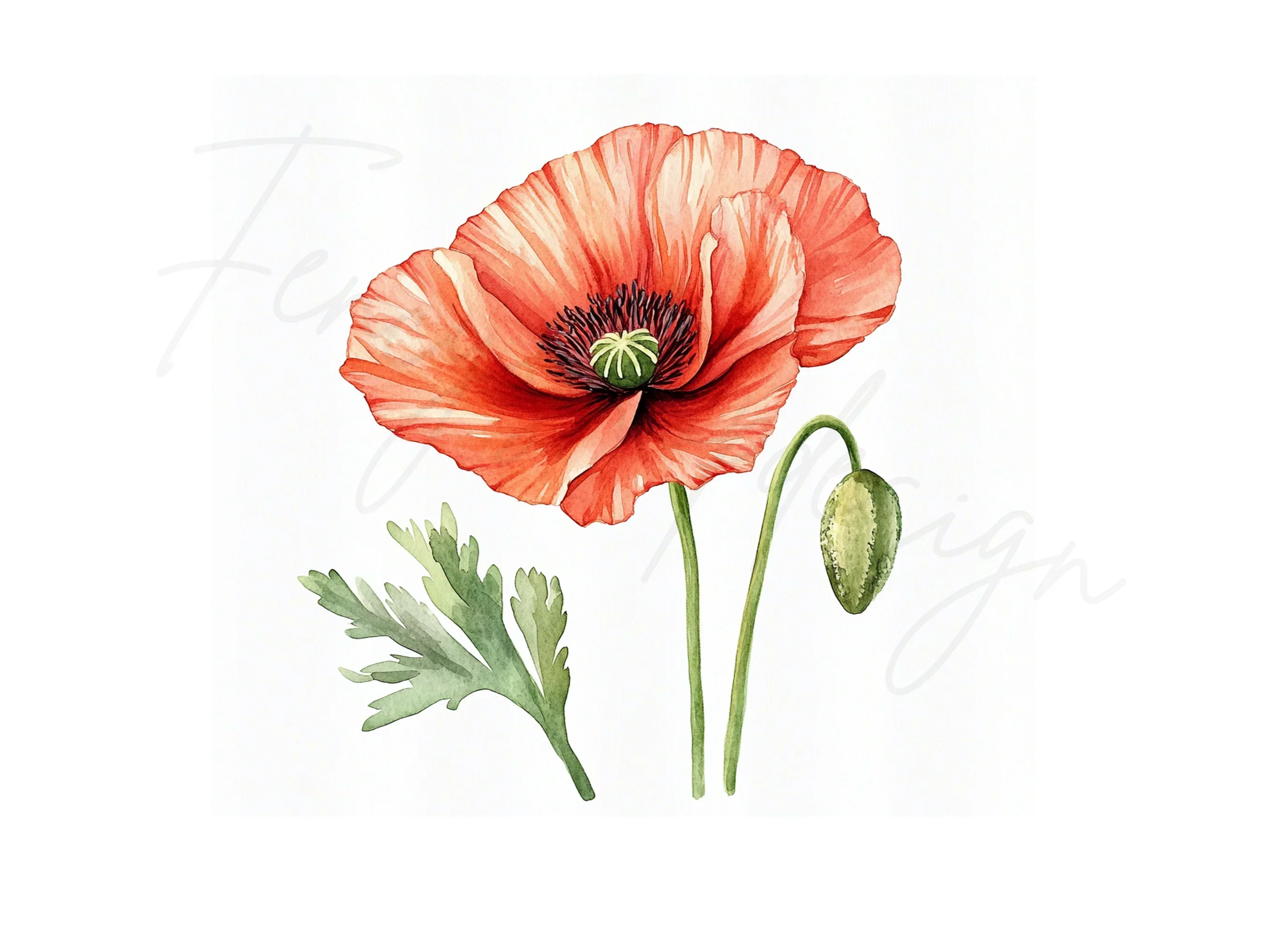 Vibrant Red Poppy Clipart Bundle - Image 3