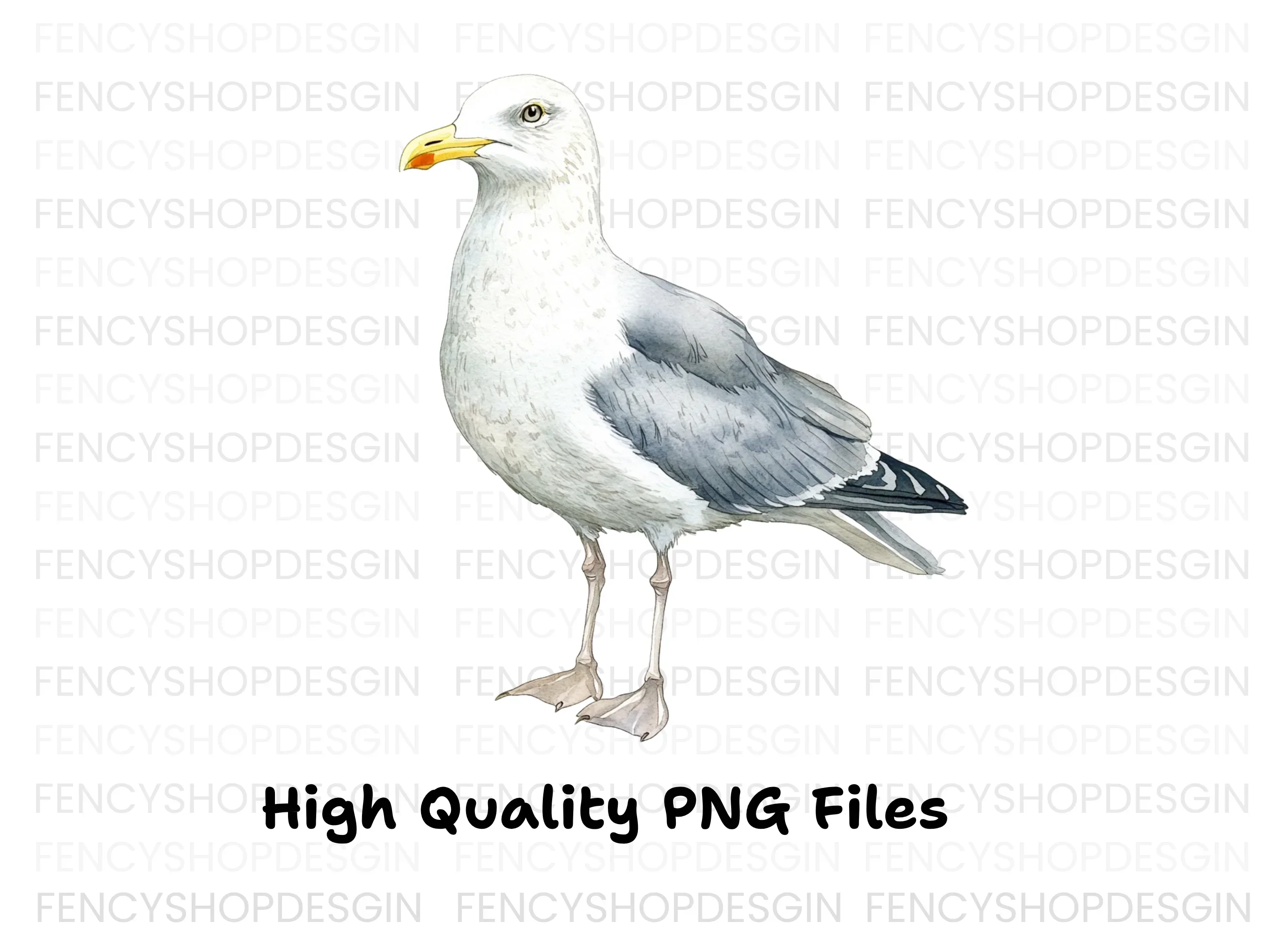 Vibrant Seagull Clipart Bundle - Image 3