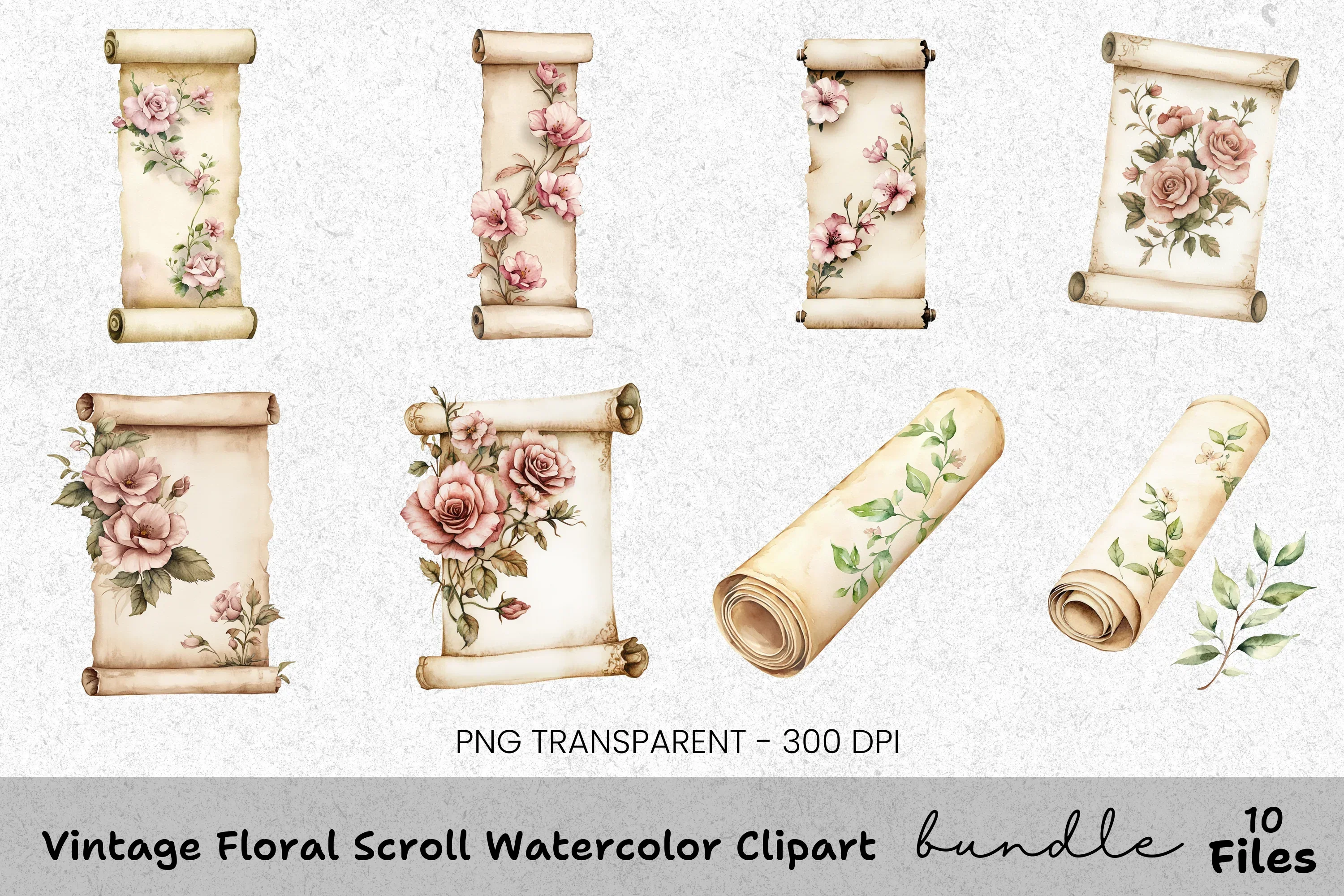 Vintage Floral Scroll Clipart Bundle