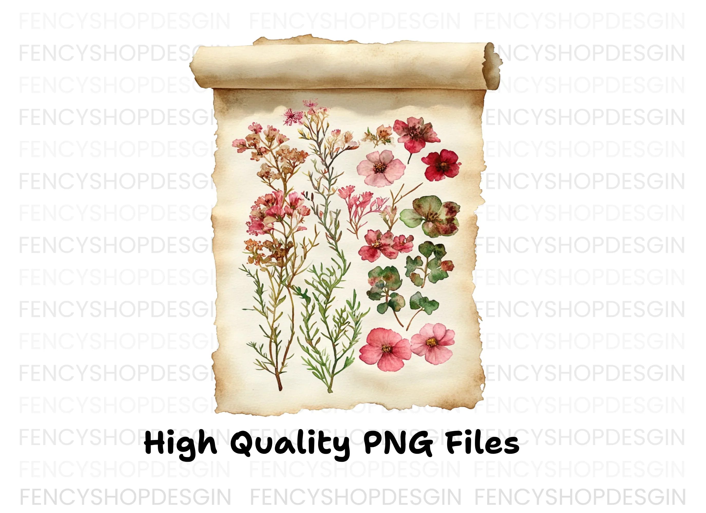 Vintage Floral Scroll Clipart Bundle - Image 3