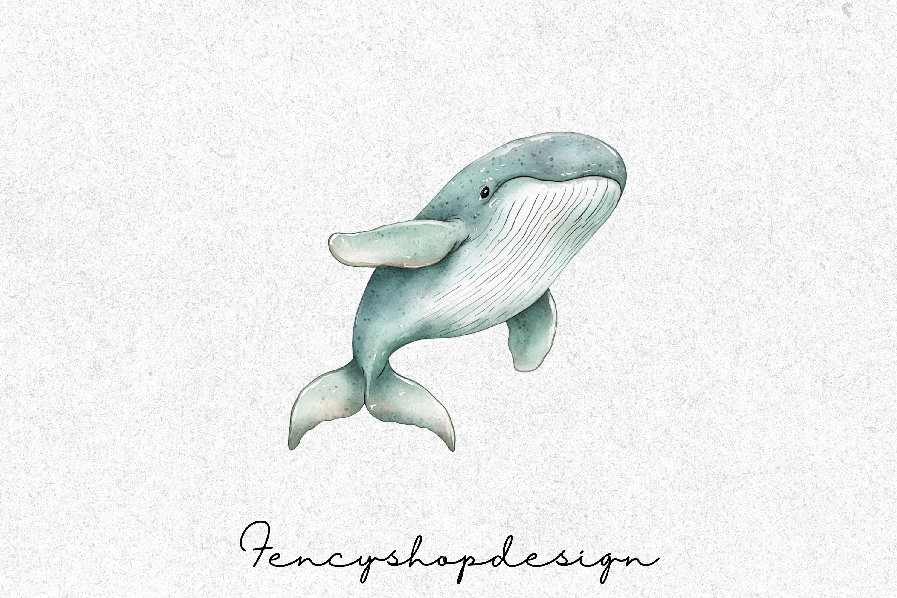 Whale and Dolphin Clipart Bundle - Image 2