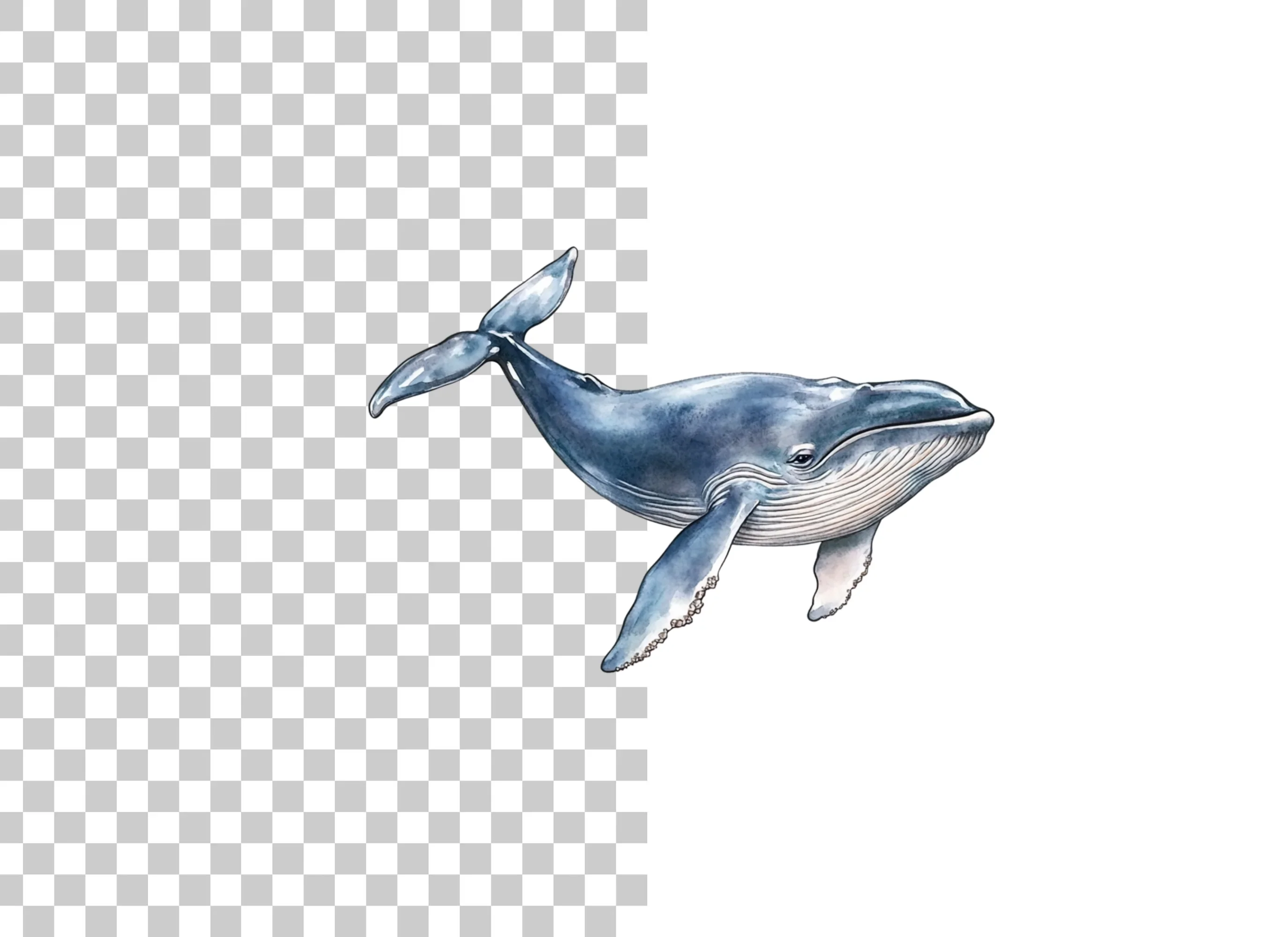 Whale Clipart Bundle for Creative Projects - Image 3