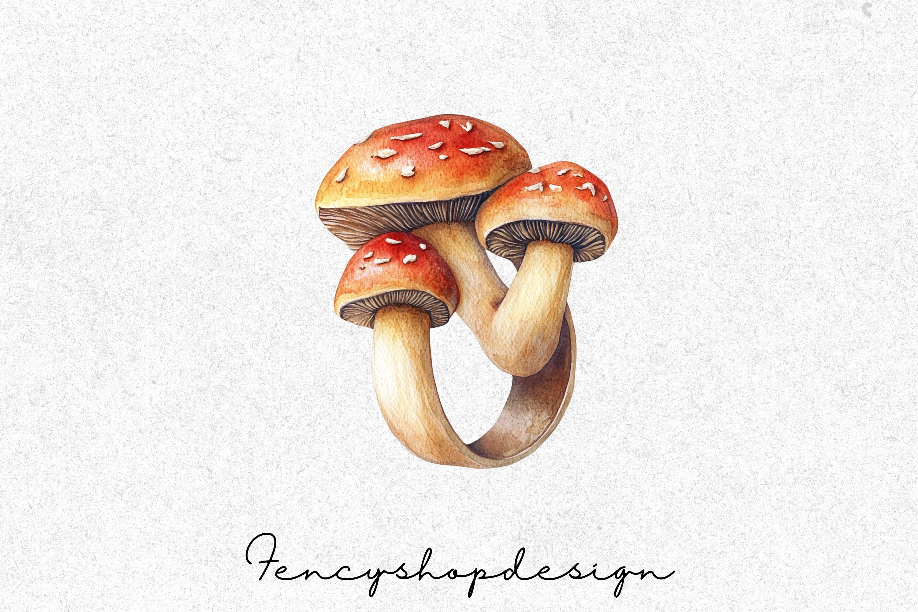 Whimsical Mushroom Toadstool Clipart Bundle - Image 3