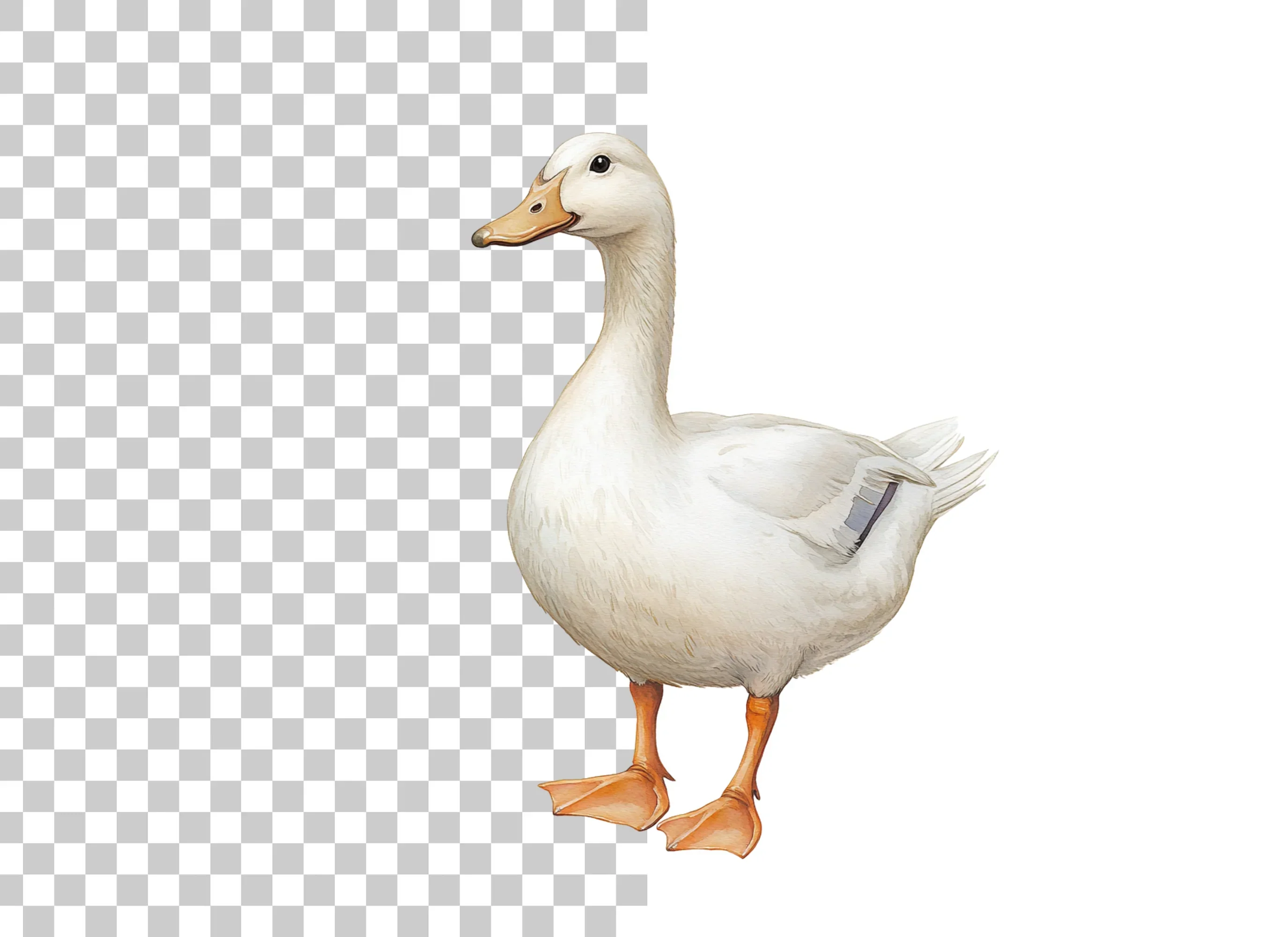White Duck Clipart Bundle - Image 2