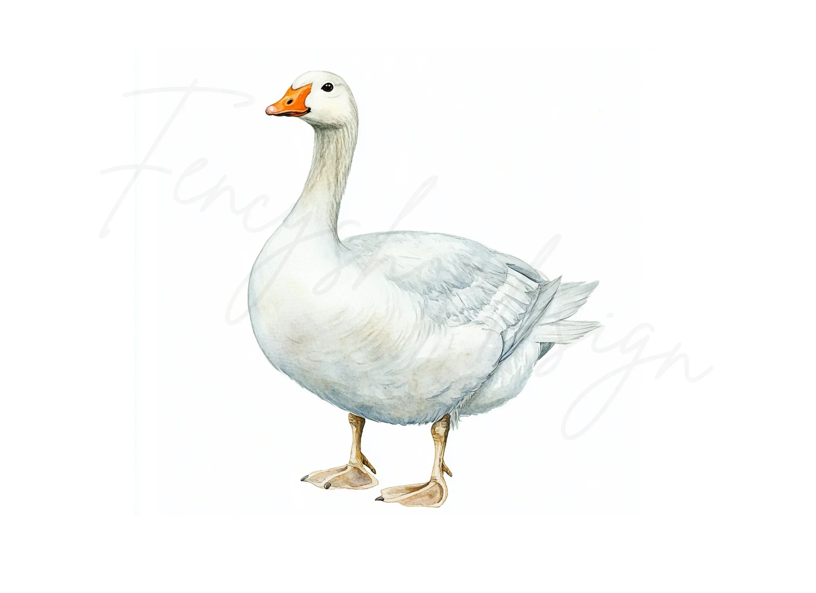 White Geese Clipart Bundle - Image 2