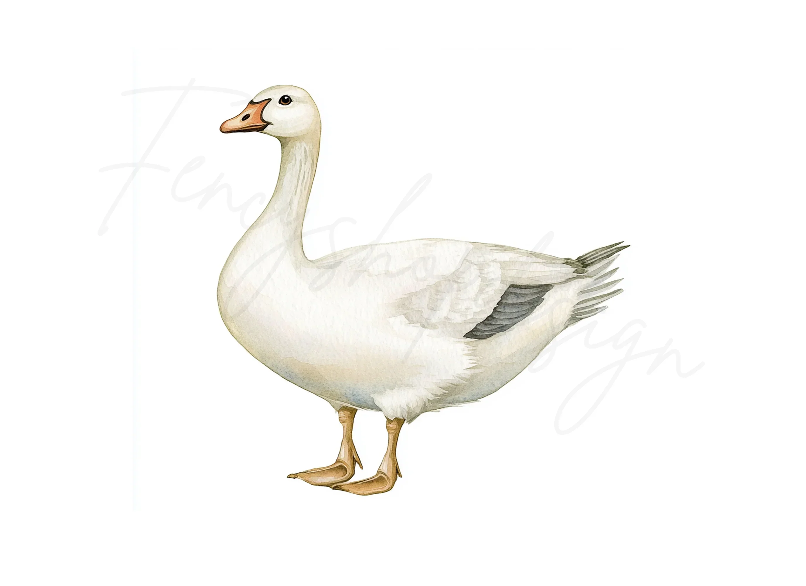 White Geese Clipart Bundle - Image 3