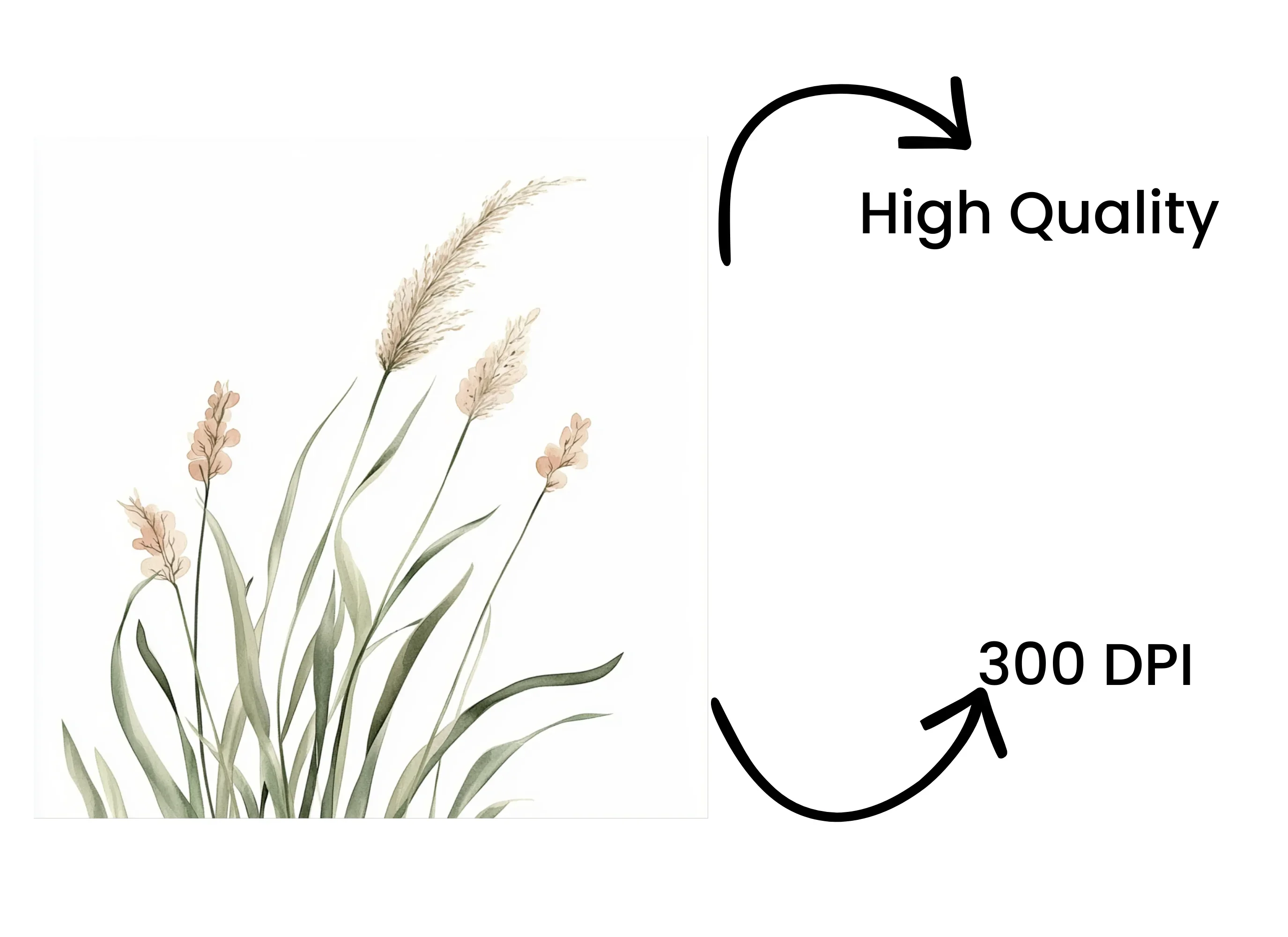 Wild Grass Clipart Bundle - Image 4