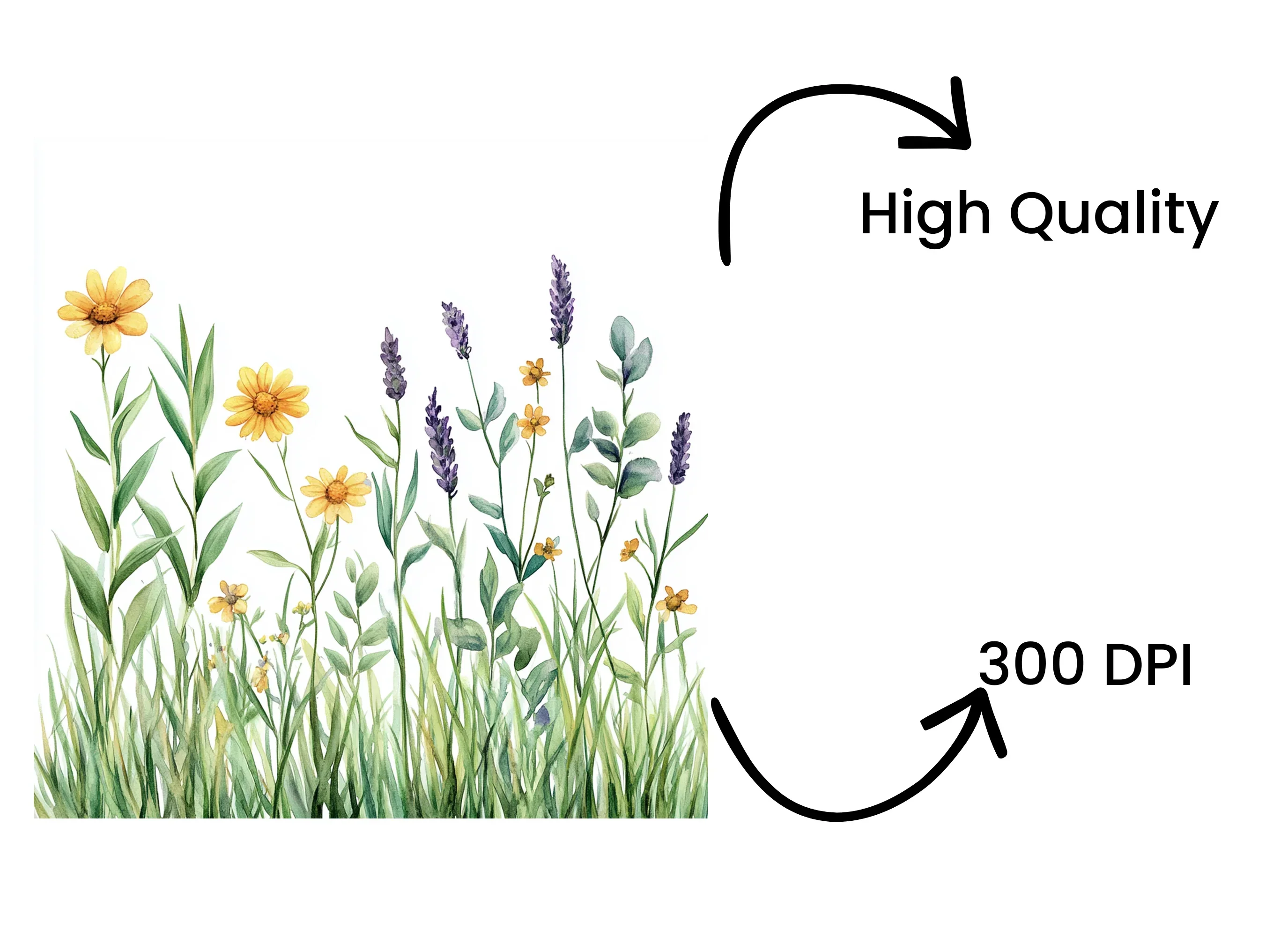 Wildflower Meadow Clipart Bundle - Image 4