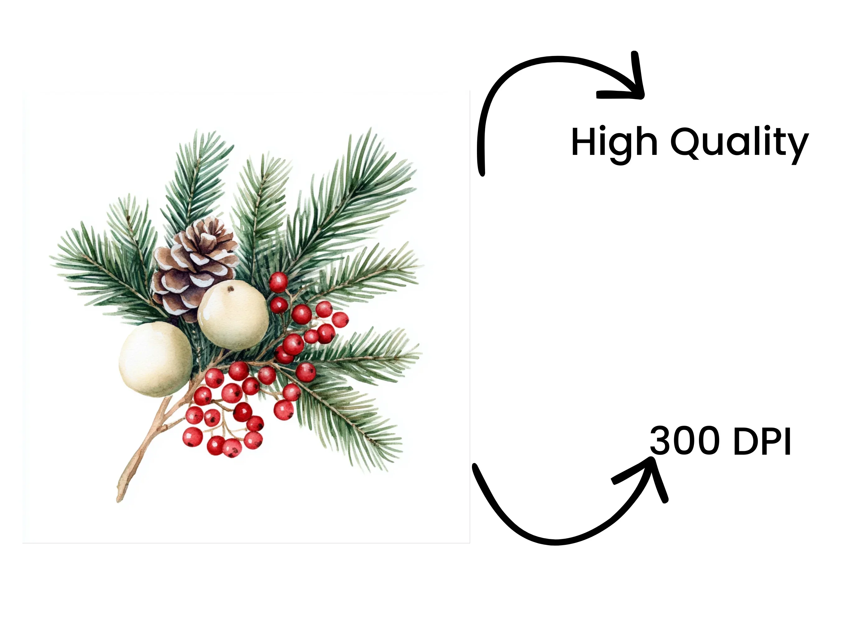Winter Pine and Berry Clipart Bundle - Image 4