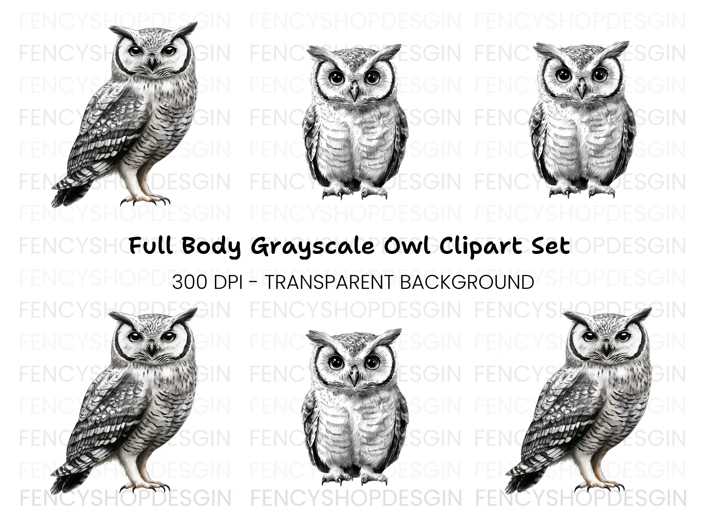Wise Owl Clipart Bundle