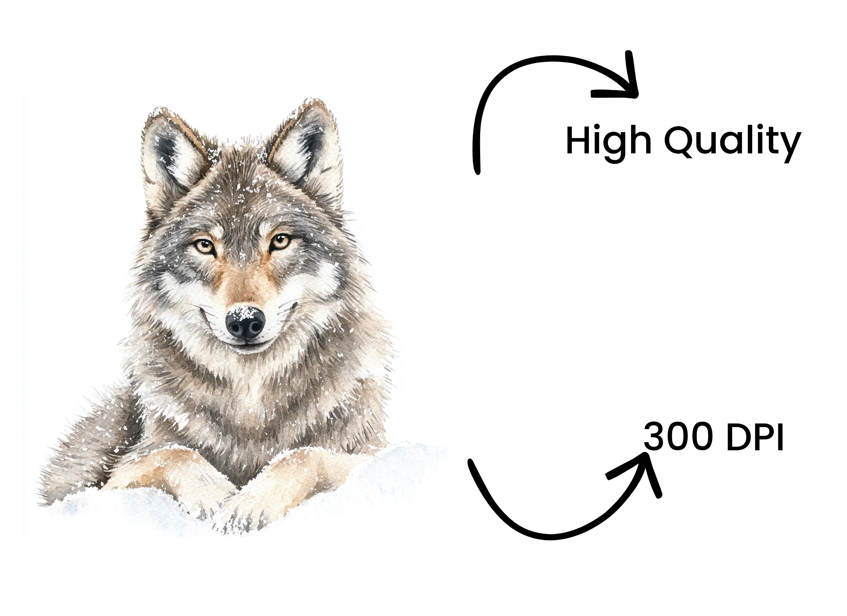 Wolf in Snow Clipart Bundle - Image 4