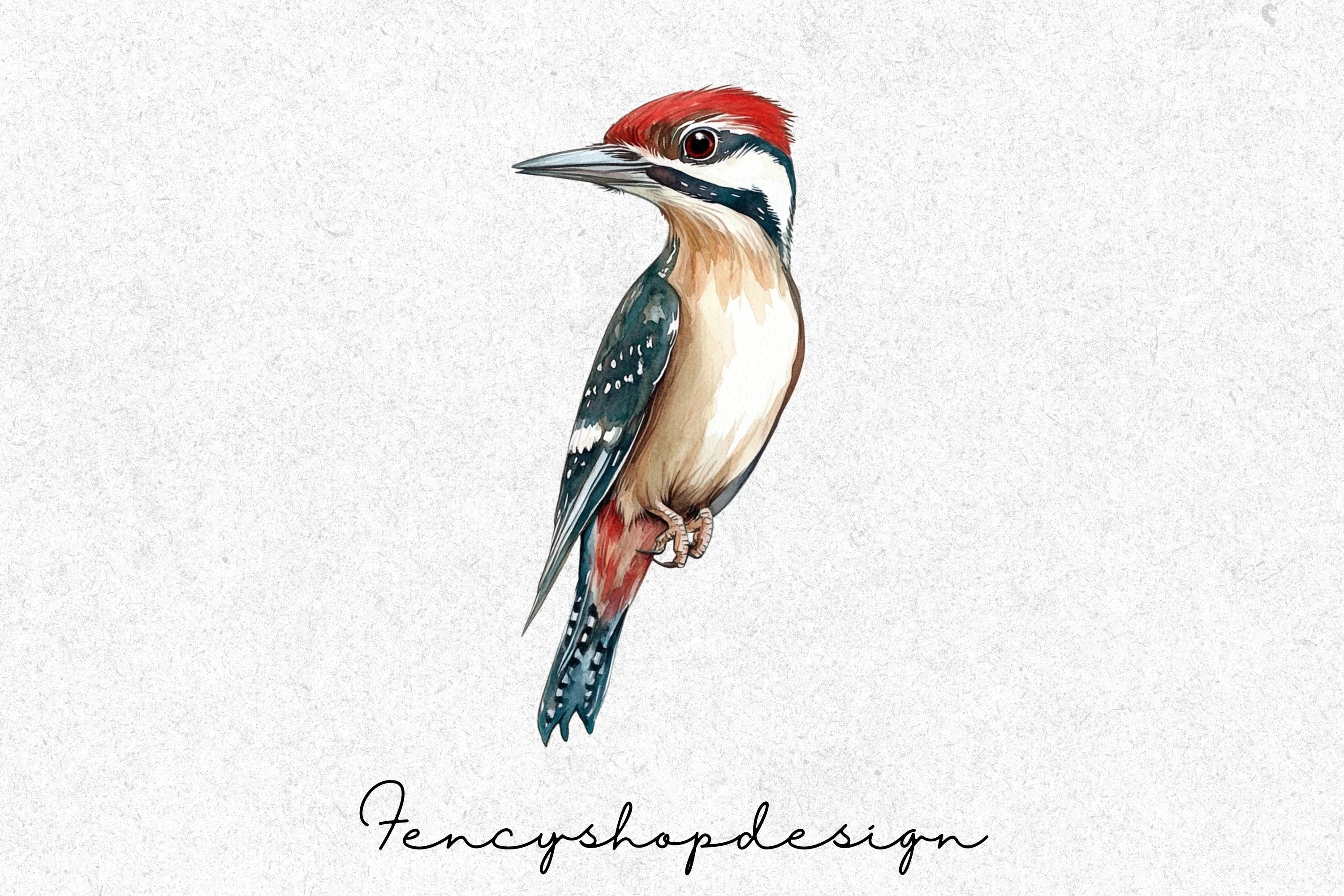 Woodpecker Bird Clipart Bundle - Image 6