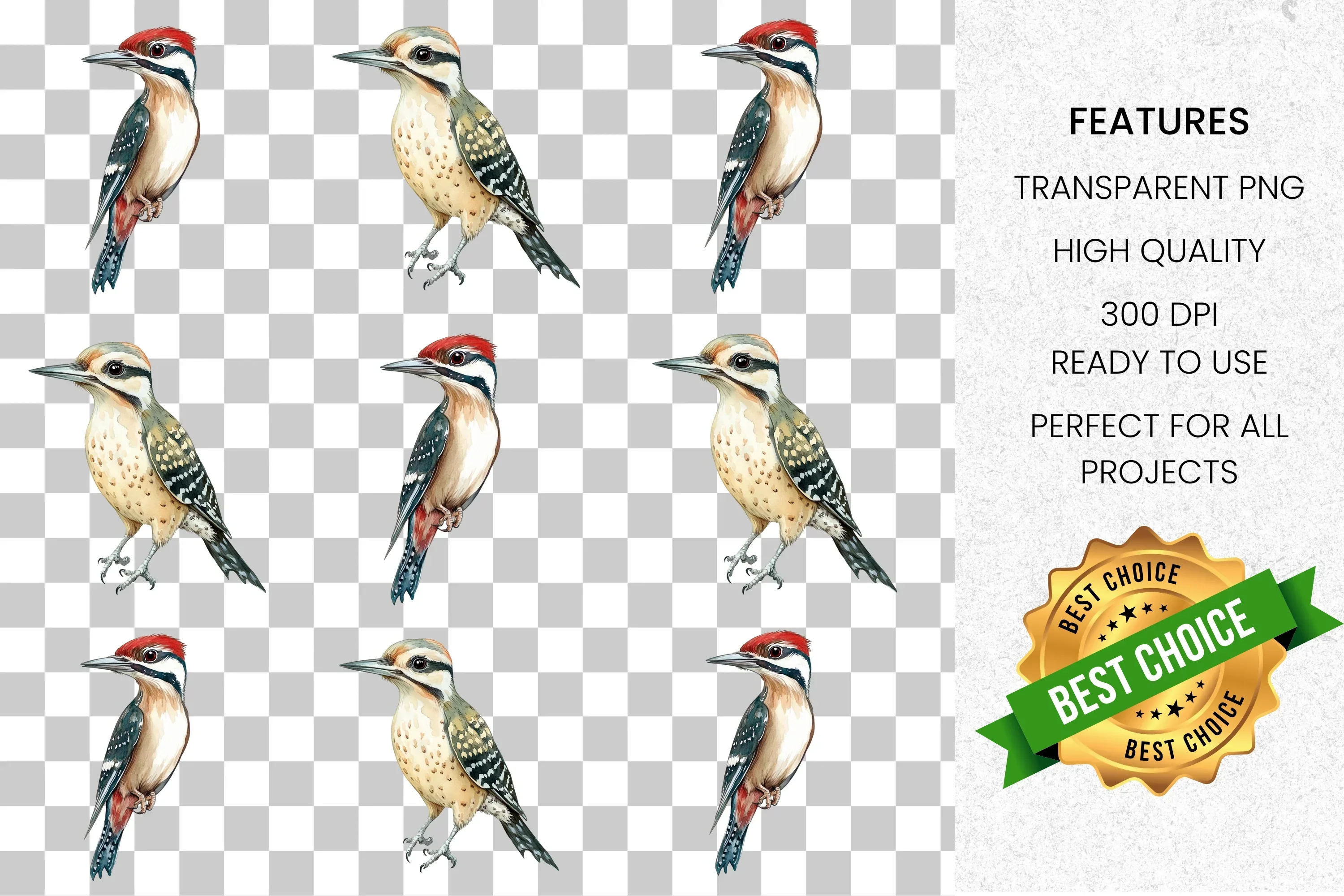 Woodpecker Bird Clipart Bundle - Image 8