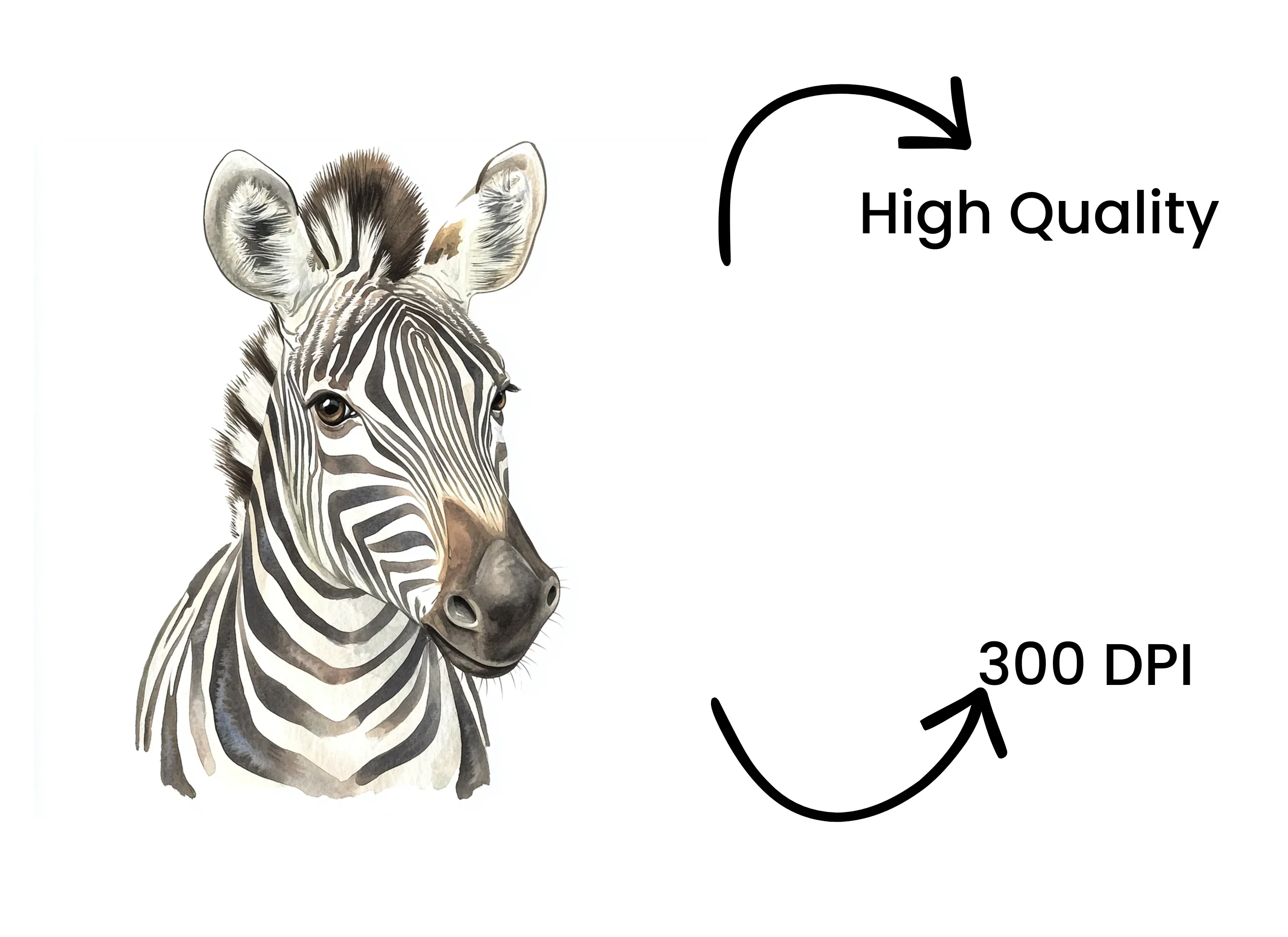 Zebra Head Clipart Bundle - Image 4